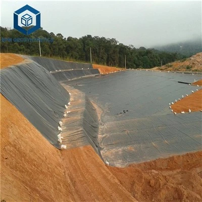 Geomembrana Dam Liner